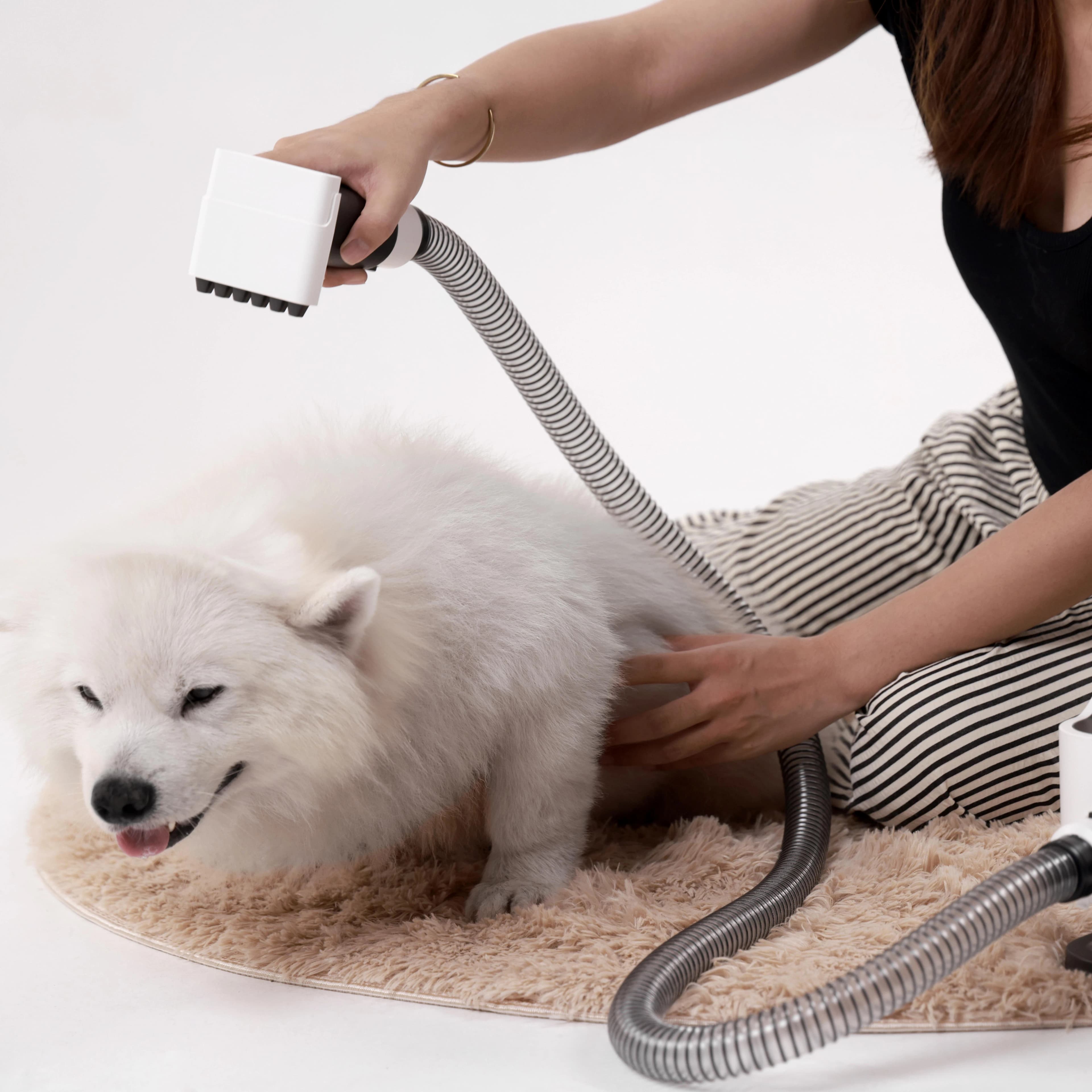 Hond wordt rustig verzorgd met de Quetzal Groomer